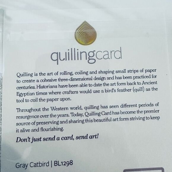 Quilling Card Paper Quill Greeting Card Gray Catbird - Picture 3 of 3